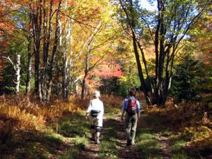 Vermont, Spain, Ireland hiking tours