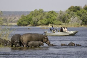 Okavango Delta