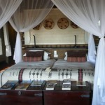 Botswana Luxury Safari