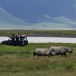 Ngorongoro Crater - Tanzania Safari