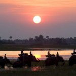 Abu Camp, Botswana