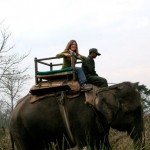 Tiger Safari, Nepal - Boundless Journeys