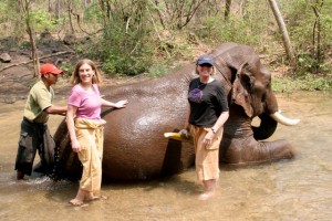 Bathing elephants at a sanctuary in Myanmar.