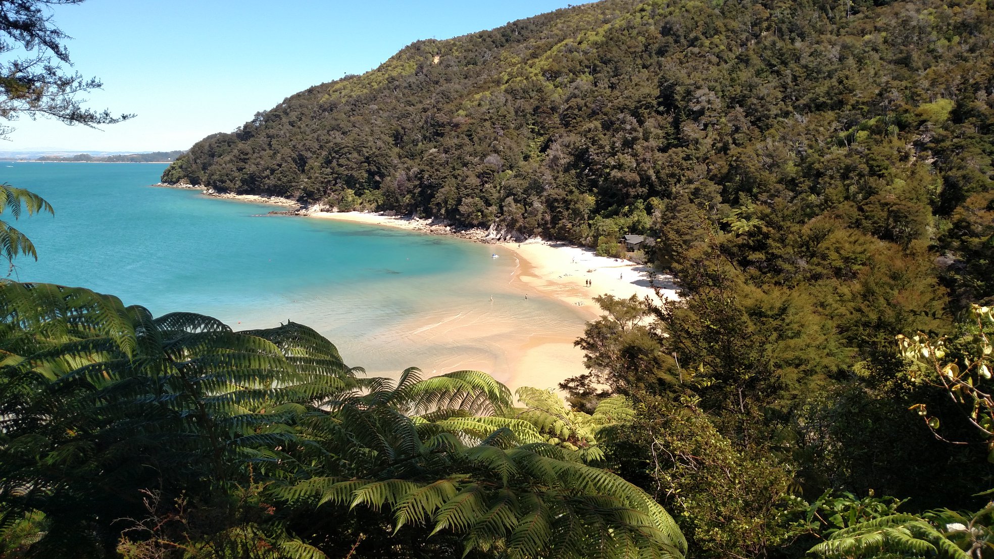 Sandy, azure beach in New Zealand