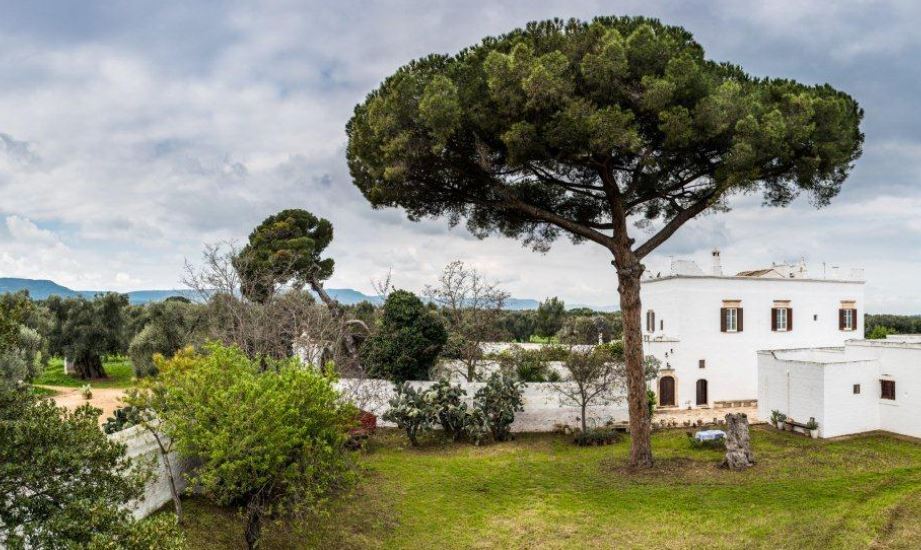 Pleasant-looking Italian lawn with white home in the background