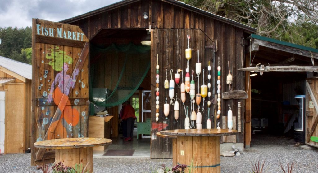 A colourful shed on Orcas Island