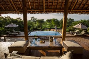 Luxurious view from a treetop patio, with thatched roof above and green trees in distance