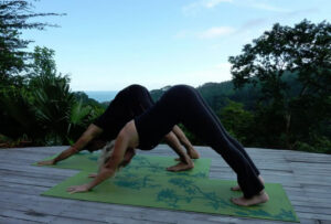 Photo of two yogis in downward facing dog outside in Costa Rica