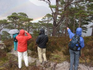 Hike the beautiful Great Glen Way in Scotland